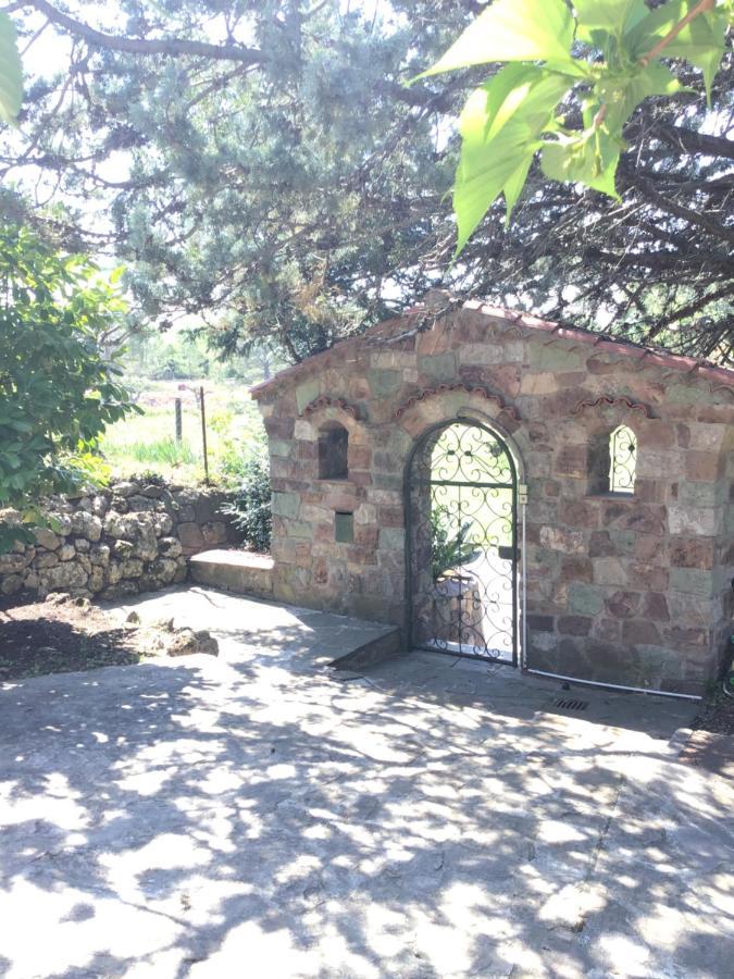 Villa San Marco Chambre D Hotes 로르귀 외부 사진